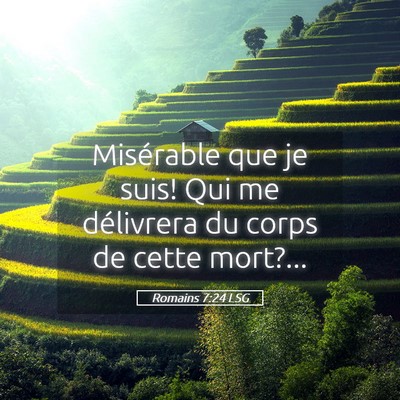 Picture 05 - Romains 7:24 LSG - Misérable que je suis! Qui me délivrera du - Bible Verse Picture