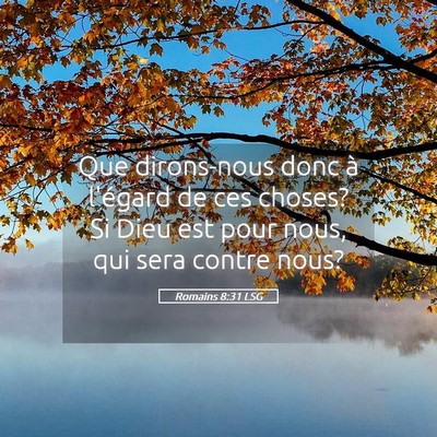Picture 05 - Romains 8:31 LSG - Que dirons-nous donc à l'égard de ces choses? - Bible Verse Picture
