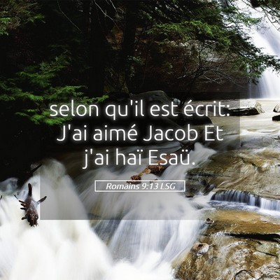 Picture 05 - Romains 9:13 LSG - selon qu'il est écrit: J'ai aimé Jacob Et j'ai - Bible Verse Picture