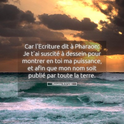Picture 05 - Romains 9:17 LSG - Car l'Ecriture dit à Pharaon: Je t'ai suscité - Bible Verse Picture