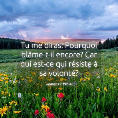 Picture 05 - Romains 9:19 LSG - Tu me diras: Pourquoi blâme-t-il encore? Car qui - Bible Verse Picture