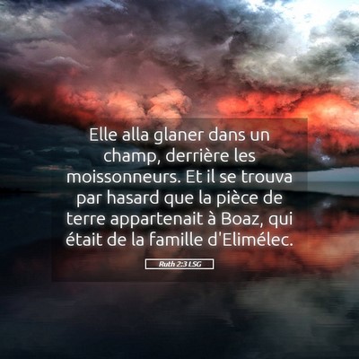 Picture 05 - Ruth 2:3 LSG - Elle alla glaner dans un champ, derrière les - Bible Verse Picture