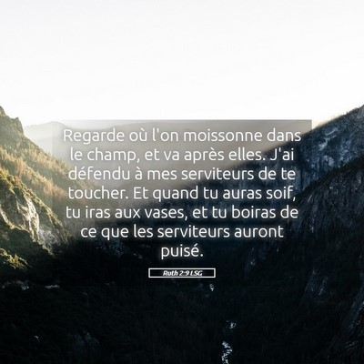 Picture 05 - Ruth 2:9 LSG - Regarde où l'on moissonne dans le champ, et va - Bible Verse Picture