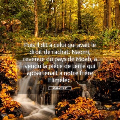 Picture 05 - Ruth 4:3 LSG - Puis il dit à celui qui avait le droit de - Bible Verse Picture