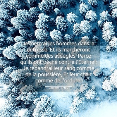 Picture 05 - Sophonie 1:17 LSG - Je mettrai les hommes dans la détresse, Et ils - Bible Verse Picture