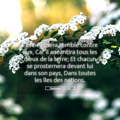 Picture 05 - Sophonie 2:11 LSG - L'Eternel sera terrible contre eux, Car il - Bible Verse Picture
