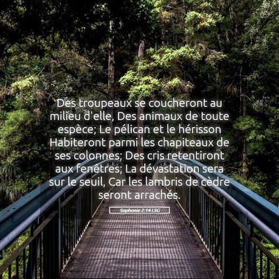 Picture 05 - Sophonie 2:14 LSG - Des troupeaux se coucheront au milieu d'elle, Des - Bible Verse Picture