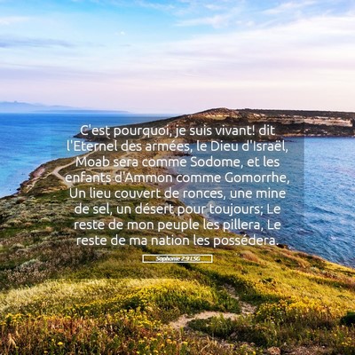Picture 05 - Sophonie 2:9 LSG - C'est pourquoi, je suis vivant! dit l'Eternel des - Bible Verse Picture