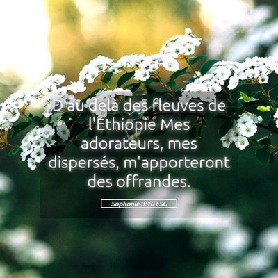Picture 05 - Sophonie 3:10 LSG - D'au delà des fleuves de l'Ethiopie Mes - Bible Verse Picture
