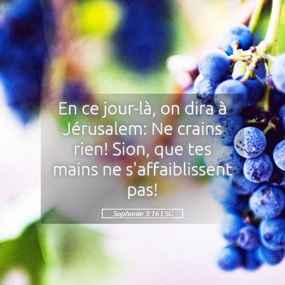 Picture 05 - Sophonie 3:16 LSG - En ce jour-là, on dira à Jérusalem: Ne crains - Bible Verse Picture