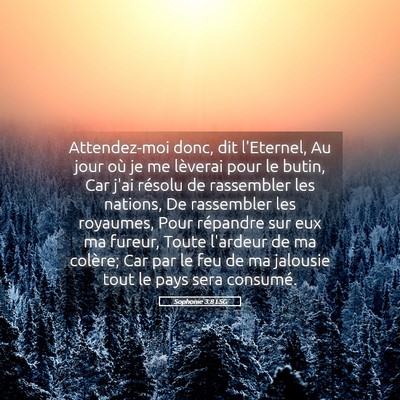 Picture 05 - Sophonie 3:8 LSG - Attendez-moi donc, dit l'Eternel, Au jour où je - Bible Verse Picture