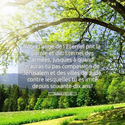 Picture 05 - Zacharie 1:12 LSG - Alors l'ange de l'Eternel prit la parole et dit: - Bible Verse Picture