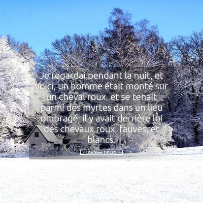 Picture 05 - Zacharie 1:8 LSG - Je regardai pendant la nuit, et voici, un homme - Bible Verse Picture