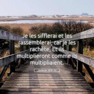 Picture 05 - Zacharie 10:8 LSG - Je les sifflerai et les rassemblerai, car je les - Bible Verse Picture