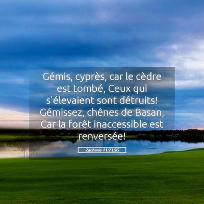 Picture 05 - Zacharie 11:2 LSG - Gémis, cyprès, car le cèdre est tombé, Ceux - Bible Verse Picture