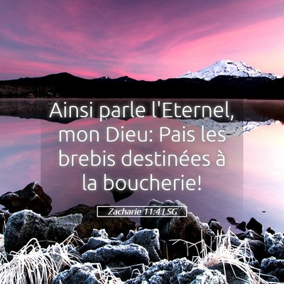 Picture 05 - Zacharie 11:4 LSG - Ainsi parle l'Eternel, mon Dieu: Pais les brebis - Bible Verse Picture
