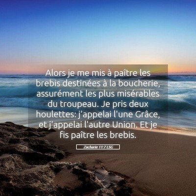 Picture 05 - Zacharie 11:7 LSG - Alors je me mis à paître les brebis destinées - Bible Verse Picture