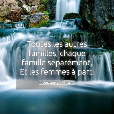 Picture 05 - Zacharie 12:14 LSG - Toutes les autres familles, chaque famille - Bible Verse Picture