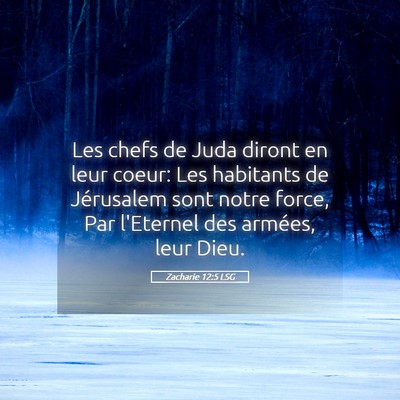 Picture 05 - Zacharie 12:5 LSG - Les chefs de Juda diront en leur coeur: Les - Bible Verse Picture