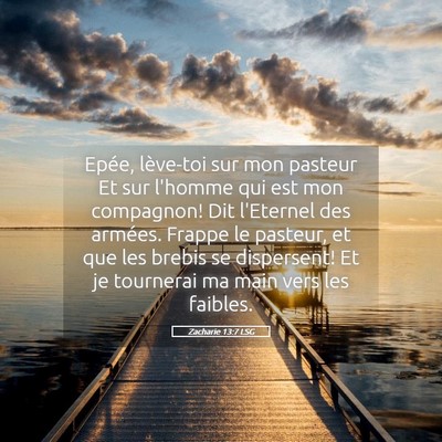 Picture 05 - Zacharie 13:7 LSG - Epée, lève-toi sur mon pasteur Et sur l'homme - Bible Verse Picture