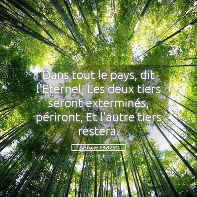 Picture 05 - Zacharie 13:8 LSG - Dans tout le pays, dit l'Eternel, Les deux tiers - Bible Verse Picture