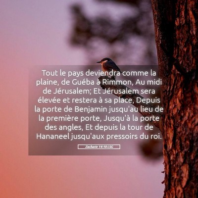 Picture 05 - Zacharie 14:10 LSG - Tout le pays deviendra comme la plaine, de Guéba - Bible Verse Picture