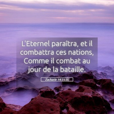 Picture 05 - Zacharie 14:3 LSG - L'Eternel paraîtra, et il combattra ces nations, - Bible Verse Picture