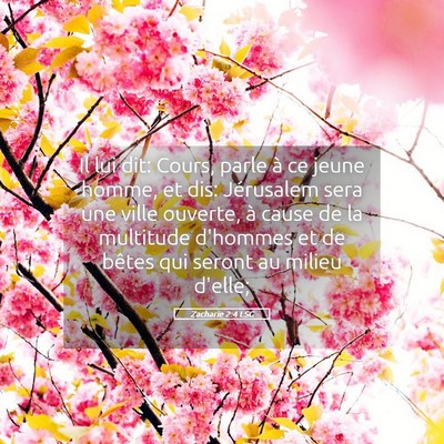 Picture 05 - Zacharie 2:4 LSG - Il lui dit: Cours, parle à ce jeune homme, et - Bible Verse Picture