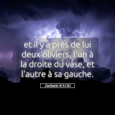 Picture 05 - Zacharie 4:3 LSG - et il y a près de lui deux oliviers, l'un à la - Bible Verse Picture