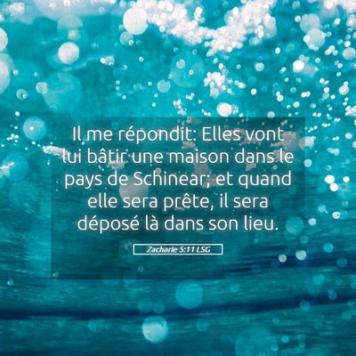 Picture 05 - Zacharie 5:11 LSG - Il me répondit: Elles vont lui bâtir une maison - Bible Verse Picture