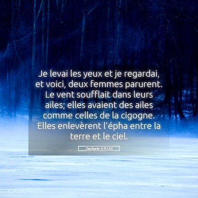 Picture 05 - Zacharie 5:9 LSG - Je levai les yeux et je regardai, et voici, deux - Bible Verse Picture