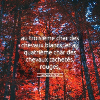 Picture 05 - Zacharie 6:3 LSG - au troisième char des chevaux blancs, et au - Bible Verse Picture