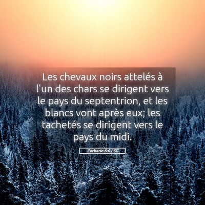 Picture 05 - Zacharie 6:6 LSG - Les chevaux noirs attelés à l'un des chars se - Bible Verse Picture