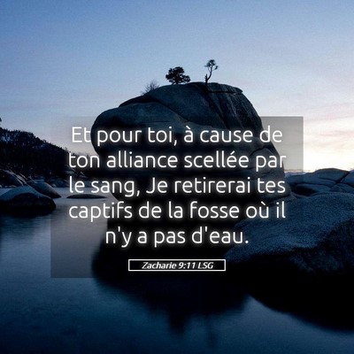 Picture 05 - Zacharie 9:11 LSG - Et pour toi, à cause de ton alliance scellée - Bible Verse Picture