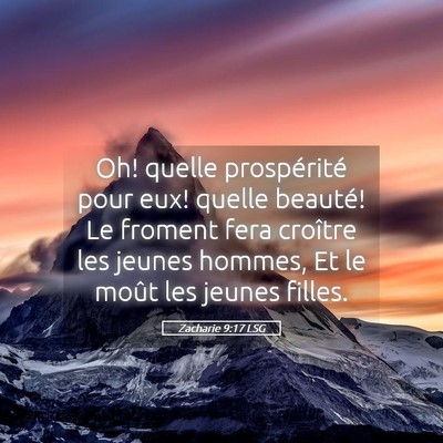 Picture 05 - Zacharie 9:17 LSG - Oh! quelle prospérité pour eux! quelle beauté! - Bible Verse Picture
