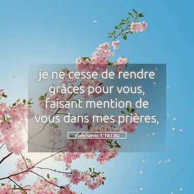 Picture 05 - Éphésiens 1:16 LSG - je ne cesse de rendre grâces pour vous, faisant - Bible Verse Picture