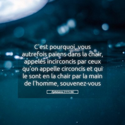 Picture 05 - Éphésiens 2:11 LSG - C'est pourquoi, vous autrefois païens dans la - Bible Verse Picture