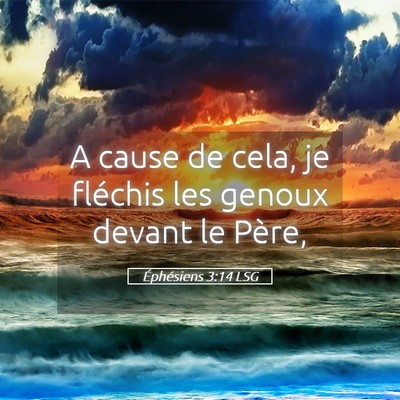 Picture 05 - Éphésiens 3:14 LSG - A cause de cela, je fléchis les genoux devant le - Bible Verse Picture