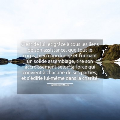 Picture 05 - Éphésiens 4:16 LSG - C'est de lui, et grâce à tous les liens de son - Bible Verse Picture