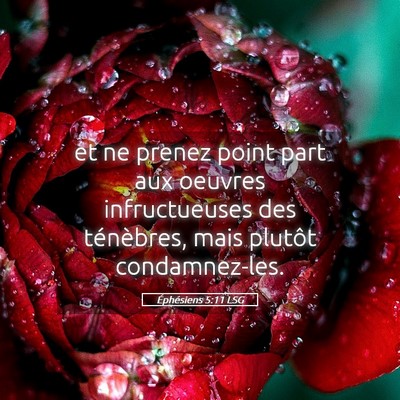 Picture 05 - Éphésiens 5:11 LSG - et ne prenez point part aux oeuvres infructueuses - Bible Verse Picture