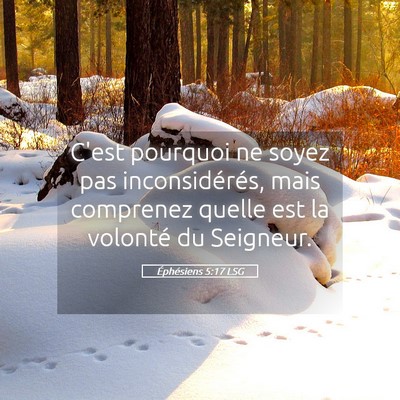 Picture 05 - Éphésiens 5:17 LSG - C'est pourquoi ne soyez pas inconsidérés, mais - Bible Verse Picture