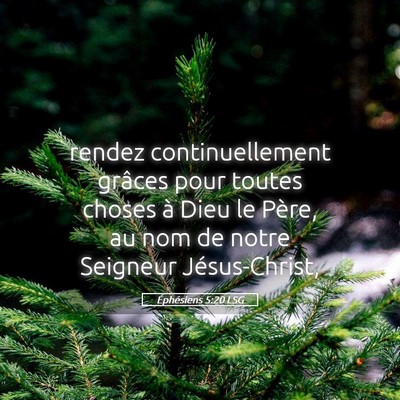 Picture 05 - Éphésiens 5:20 LSG - rendez continuellement grâces pour toutes choses - Bible Verse Picture