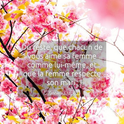 Picture 05 - Éphésiens 5:33 LSG - Du reste, que chacun de vous aime sa femme comme - Bible Verse Picture