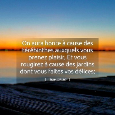 Picture 05 - Ésaïe 1:29 LSG - On aura honte à cause des térébinthes auxquels - Bible Verse Picture