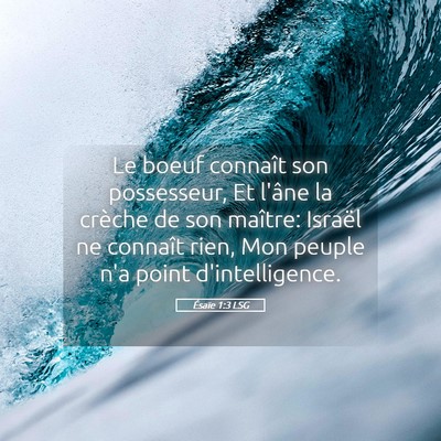 Picture 05 - Ésaïe 1:3 LSG - Le boeuf connaît son possesseur, Et l'âne la - Bible Verse Picture