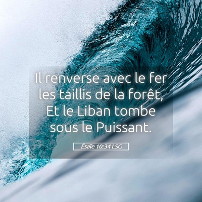 Picture 05 - Ésaïe 10:34 LSG - Il renverse avec le fer les taillis de la forêt, - Bible Verse Picture