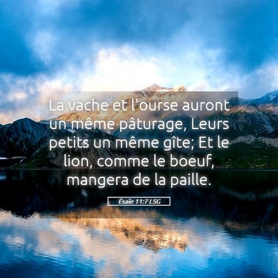 Picture 05 - Ésaïe 11:7 LSG - La vache et l'ourse auront un même pâturage, - Bible Verse Picture