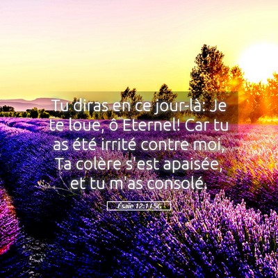 Picture 05 - Ésaïe 12:1 LSG - Tu diras en ce jour-là: Je te loue, ô Eternel! - Bible Verse Picture