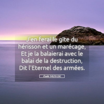 Picture 05 - Ésaïe 14:23 LSG - J'en ferai le gîte du hérisson et un marécage, - Bible Verse Picture