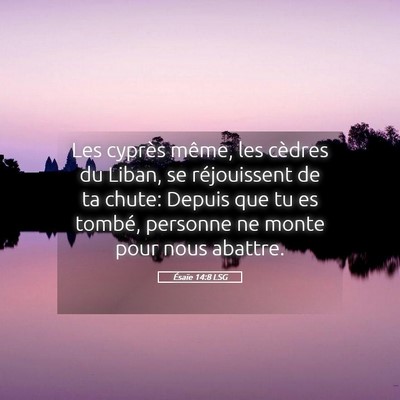 Picture 05 - Ésaïe 14:8 LSG - Les cyprès même, les cèdres du Liban, se - Bible Verse Picture